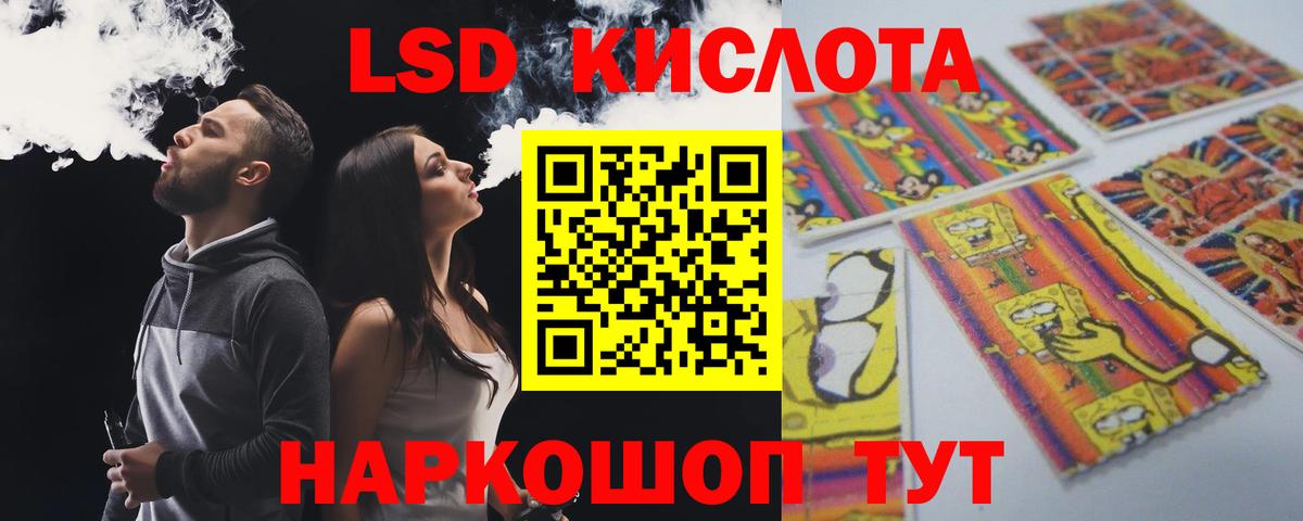 Галлюциногенные грибы Киров
