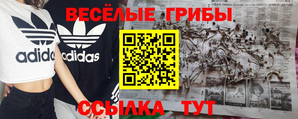 Галлюциногенные грибы Cubensis  Вход с VPN  Киров 