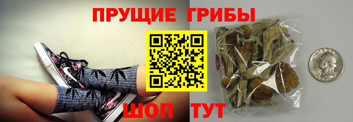 Галлюциногенные грибы MAGIC MUSHROOMS Киров